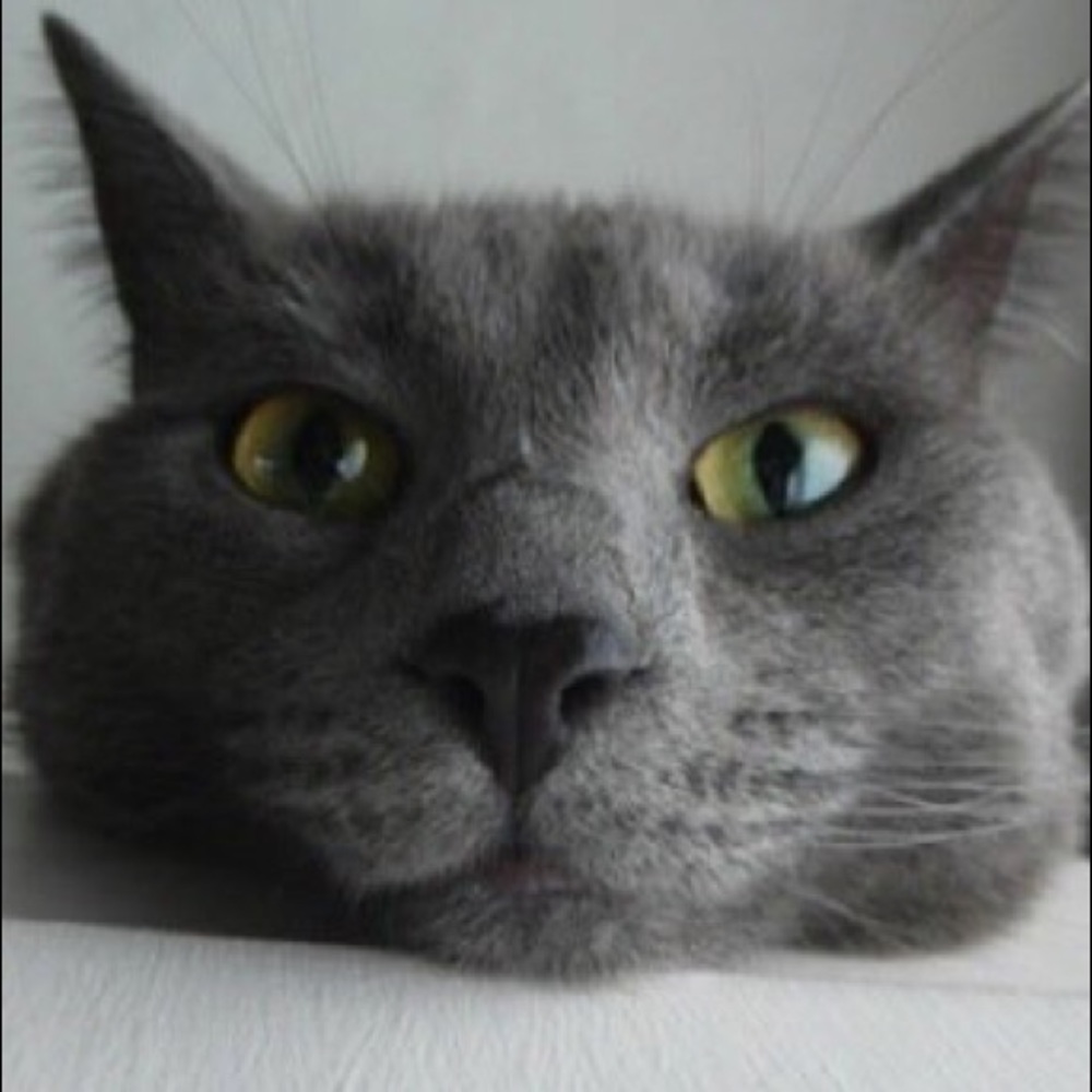 Meet your Posher, Elizabeth